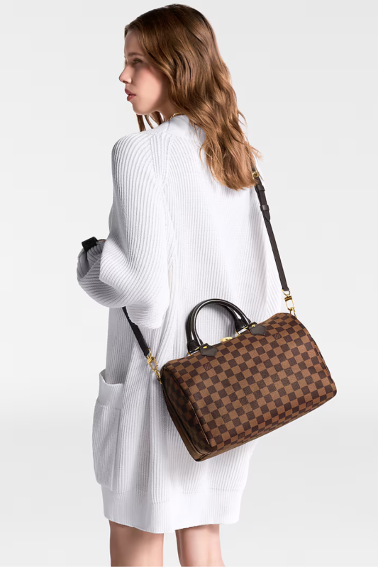 louis vuitton speedy