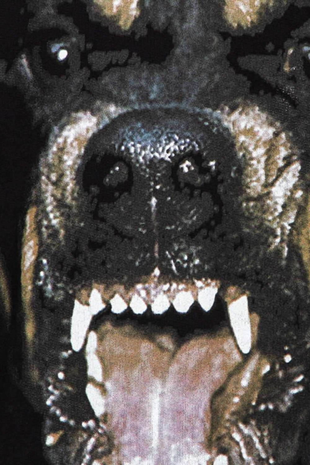 i7MJ6lfToiVZxeDsA1nxadMqJdtTChuYTNxTLcLP-4.png i7MJ6lfToiVZxeDsA1nxadMqJdtTChuYTNxTLcLP 4