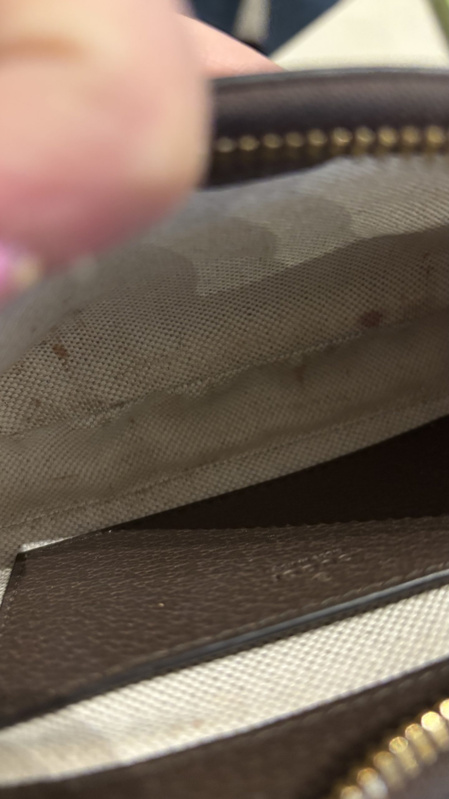 mDpIwK8EUypGF6tTESzQwsktw3H6Qs6sdu3a3hW4-8.jpg mDpIwK8EUypGF6tTESzQwsktw3H6Qs6sdu3a3hW4 8 scaled