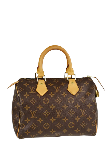 Monogram Speedy Kol Çantası